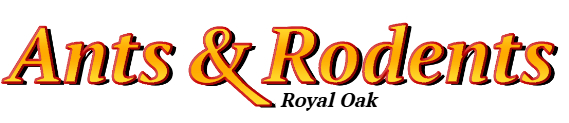 Royal Oak Ant Exterminator & Rodent Control Company Logo